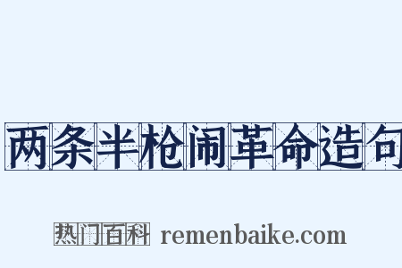 两条半枪闹革命造句是什么意思的图片